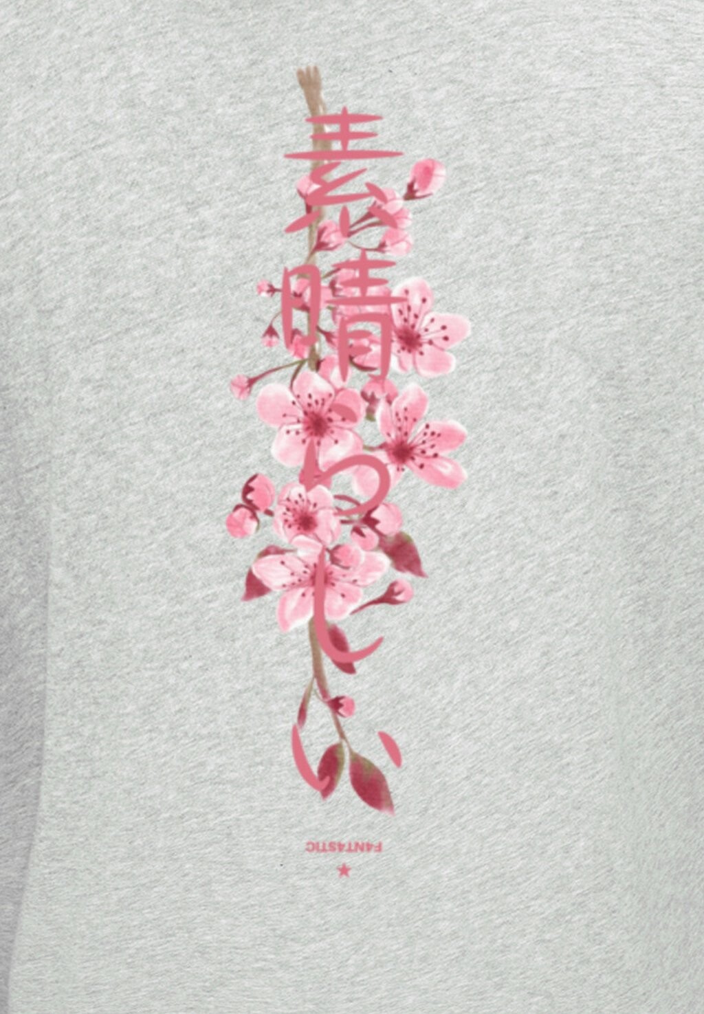 

Толстовка с капюшоном CHERRY BLOSSOM F4NT4STIC, серый