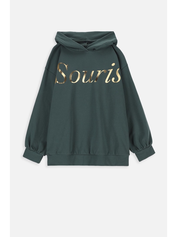 

Толстовка Coccodrillo Sweatshirt, зеленый
