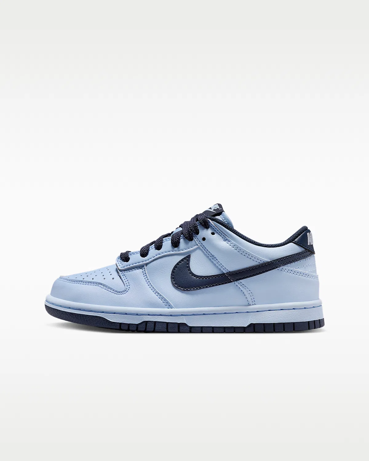 Кроссовки Nike Dunk Low LV8 2 для старших детей, Hydrogen Blue/Hydrogen Blue/Thunder Blue
