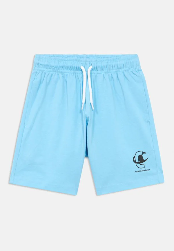 Графические шорты Champion, Blue