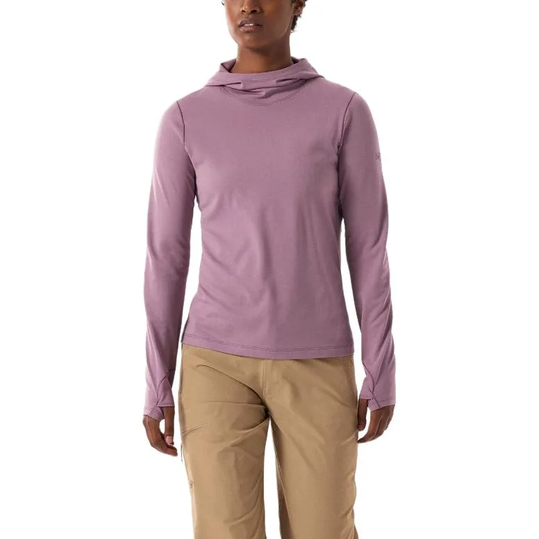 Футболка Taema Regular Arcteryx, Interstellar Heather/Purple Gray