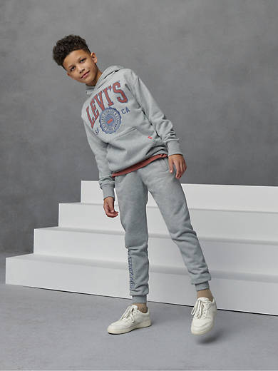 

Спортивные штаны Jogger для больших мальчиков 8-20 лет Levi's, цвет Grey Heather
