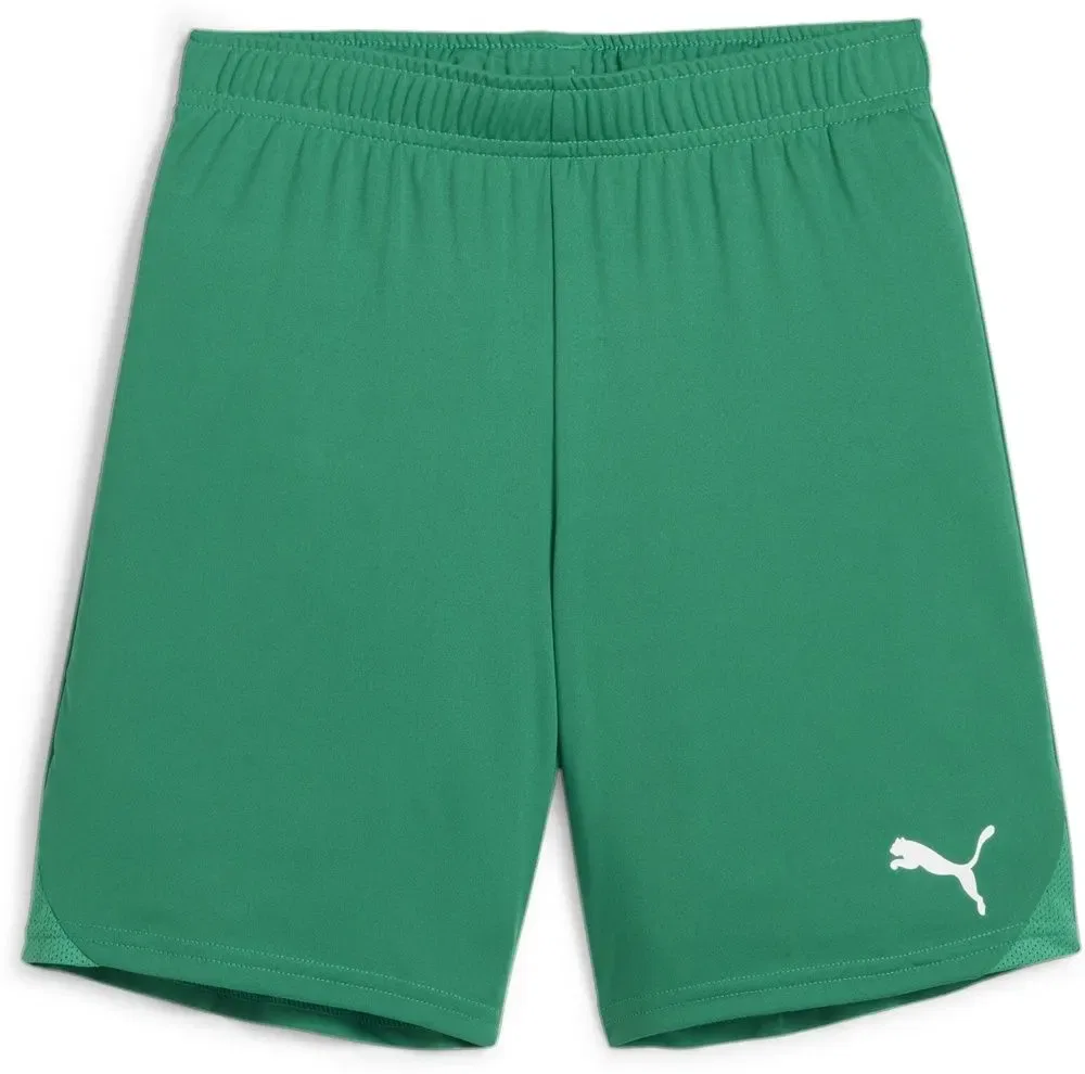 Футбольные шорты TeamGoal Shorts Jr, Puma, зеленый