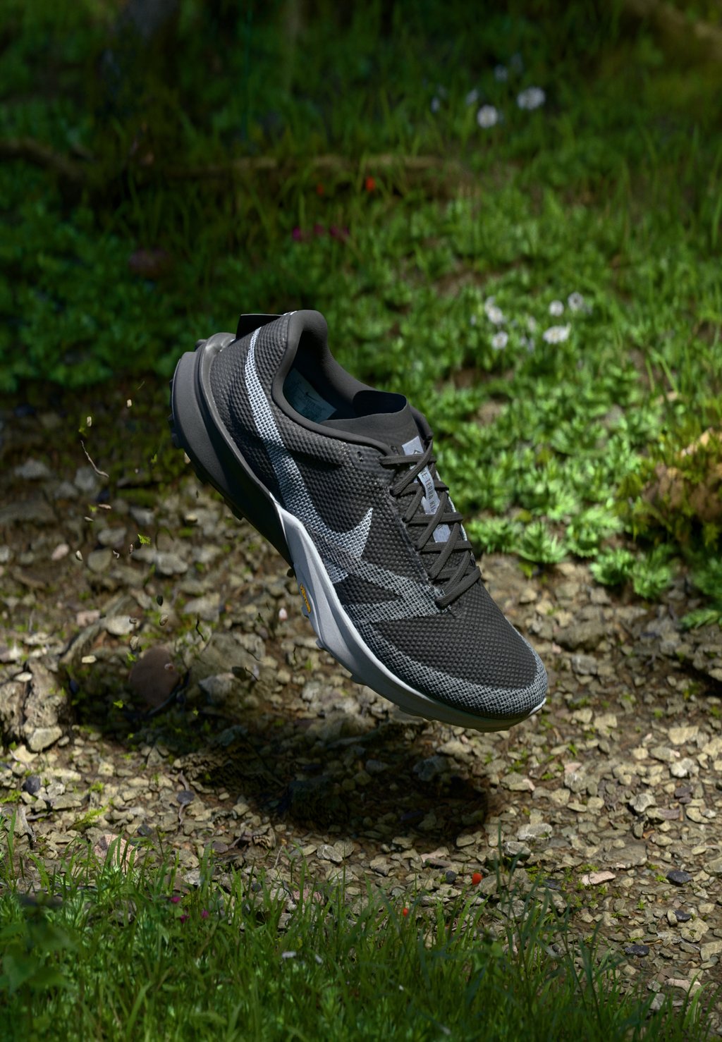 

Кроссовки для бега TERRA KIGER 10 Nike Performance, черный