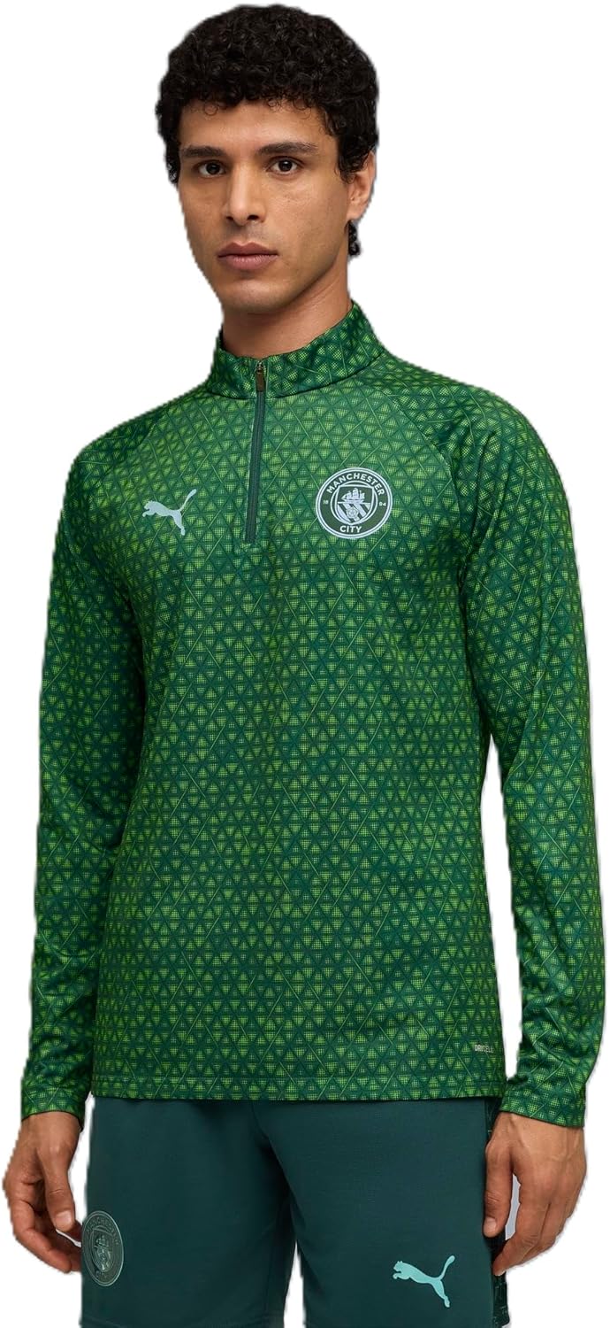 

Мужская футболка Puma 782170 MCFC PM 1/4 на молнии, зеленый/зеленый