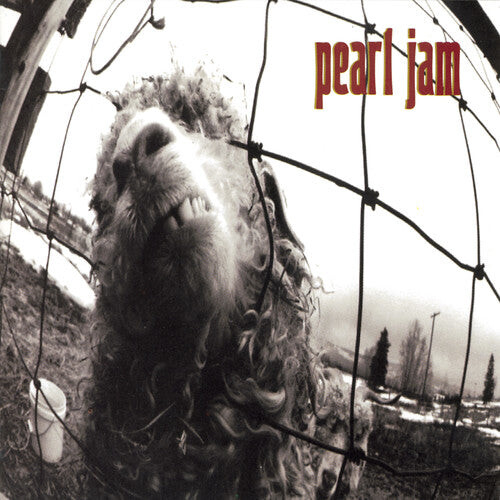 

CD диск Pearl Jam: Vs. (Original)