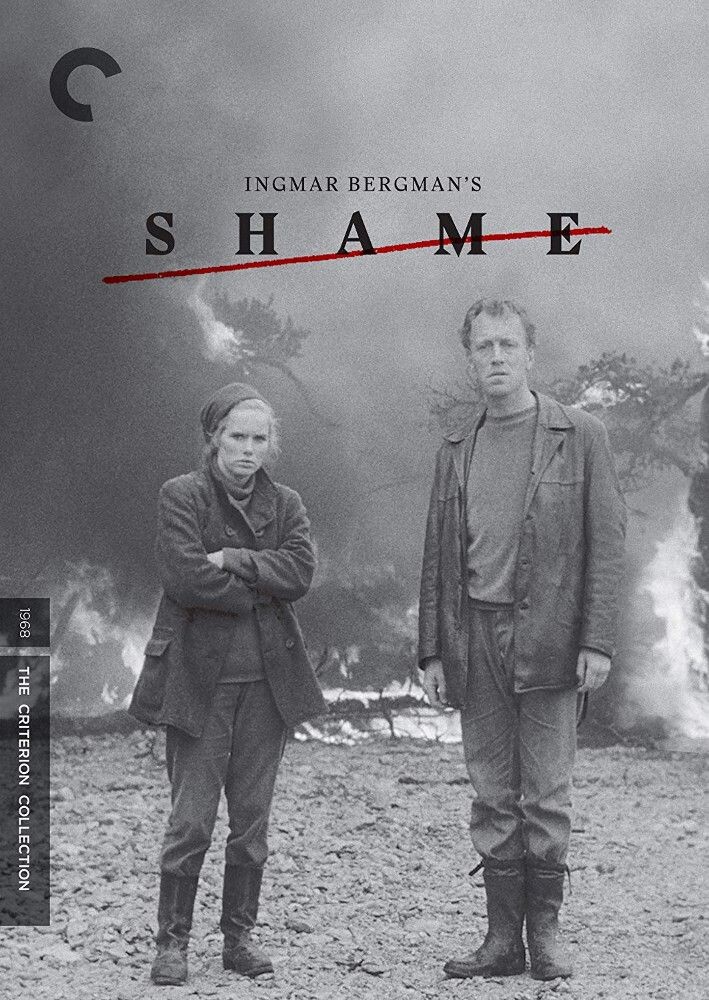 

Диск DVD Shame