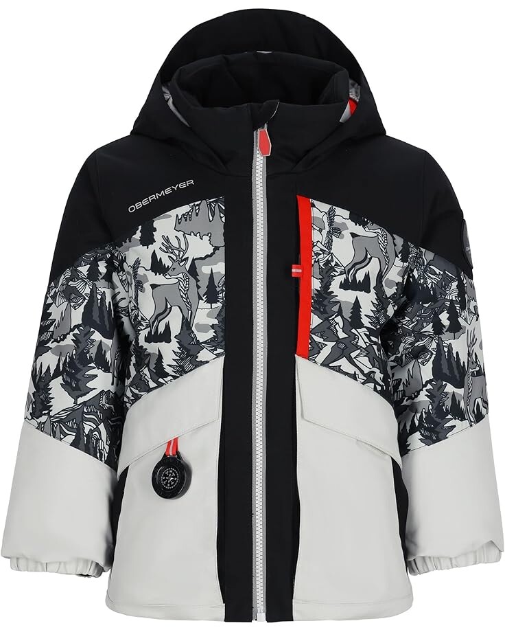

Куртка Obermeyer Kids Altair Jacket, цвет High Alpine