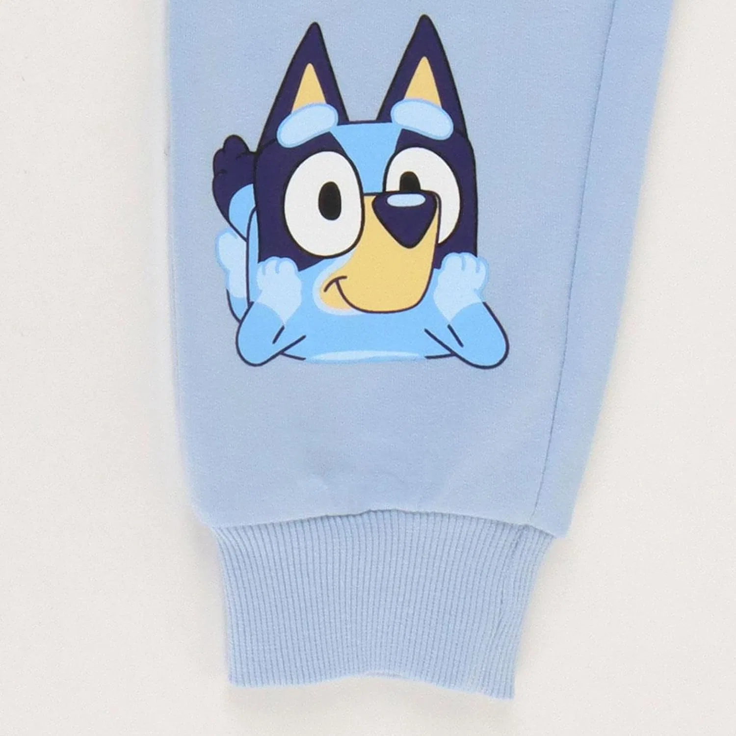 Детский спортивный костюм Bluey, CERDÁ LIFE'S LITTLE MOMENTS, хлопок, Bluey — фото 4