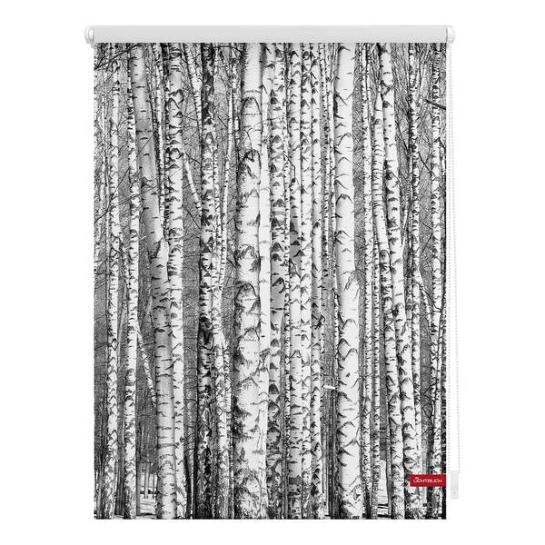 

Рулонные шторы Lichtblick Birken, 100x150x6 см, черно-белый