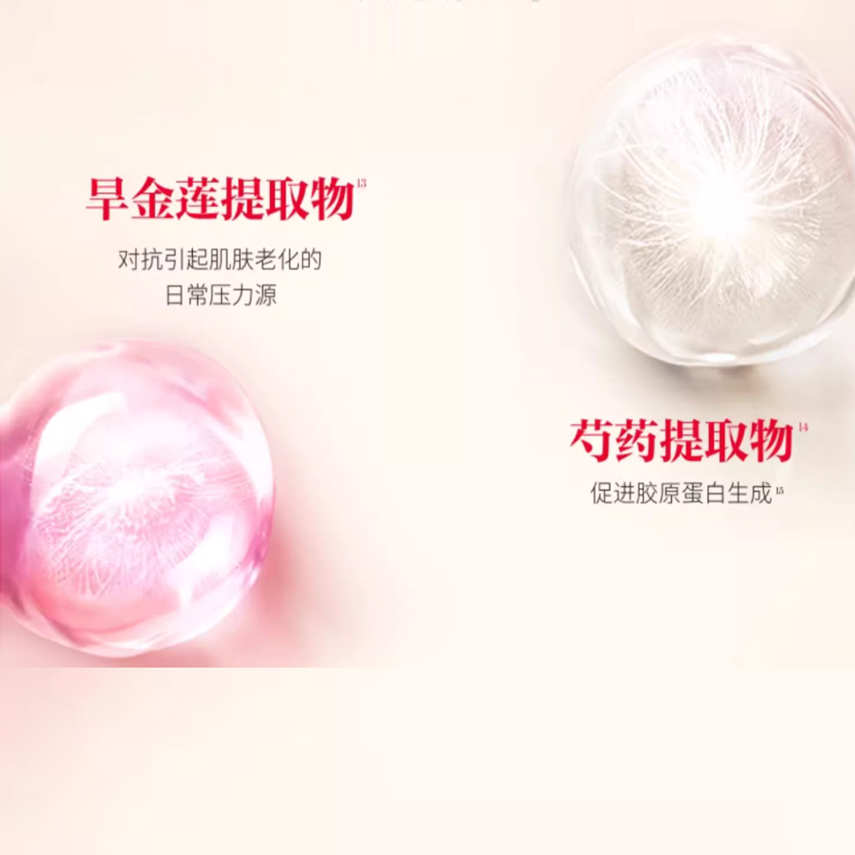 SK-II SK II Love Confession Box Red крем для лица восстанавливающий и подтягивающий уменьшение морщин устойчивость к морщинам 50g — фото 3