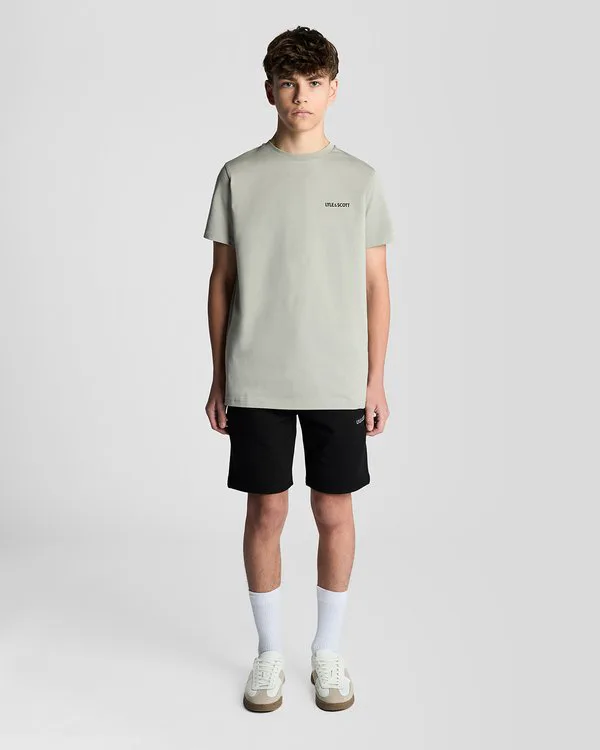 Простая футболка Lyle & Scott, Cold Grey