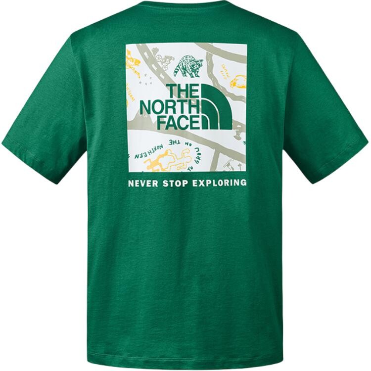 

Футболка мужская Endless Green The North Face, зеленый