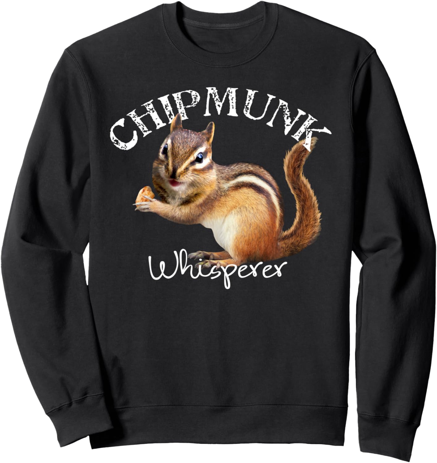 

Толстовка «Заклинатель бурундуков». Толстовка «Я люблю бурундуков» Cute Chipmunk Lover Chipmunk Gift, черный