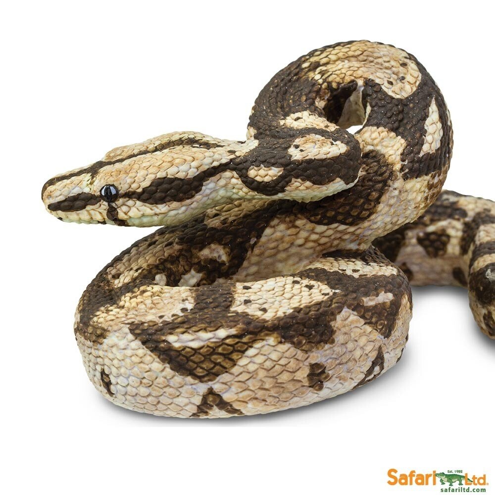 Подсемейство удавов. Safari Ltd обыкновенный удав. Удав обыкновенный boa Constrictor. Восточная гремучая змея Safari Ltd. Изумрудный древесный удав.