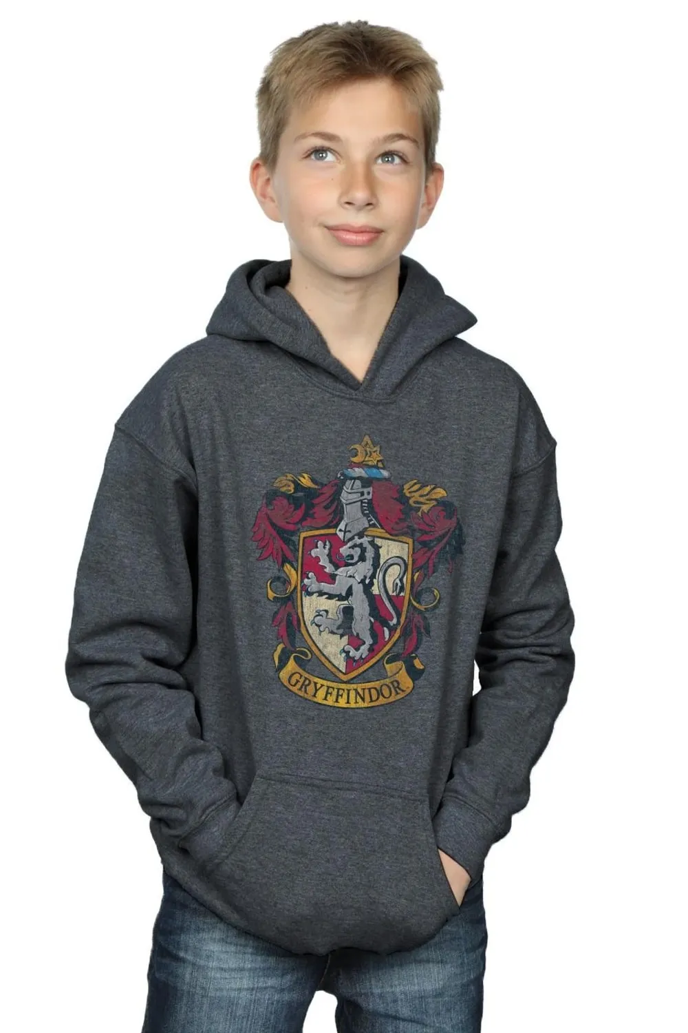 

Толстовка с потертым гербом Гриффиндора Harry Potter, серый