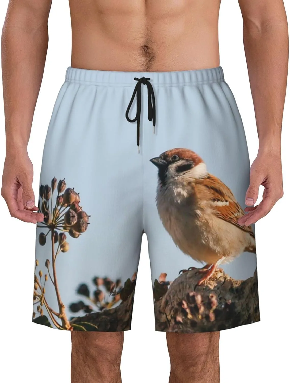 Мужские пляжные шорты Bird Sparrow, мужские плавки, пляжные шорты с карманами, купальники Generic, черный