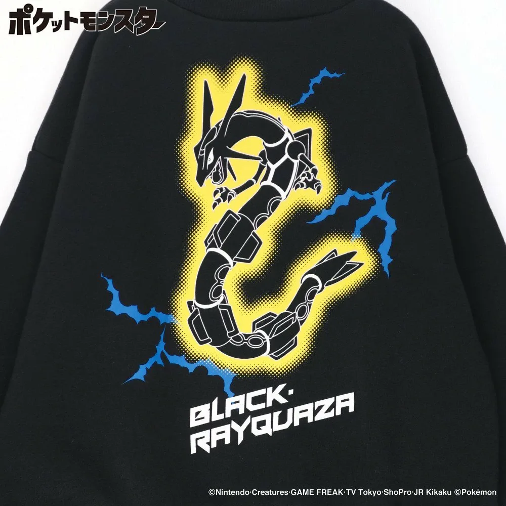 Толстовка на флисовой подкладке Branshes, 85: Black Rayquaza