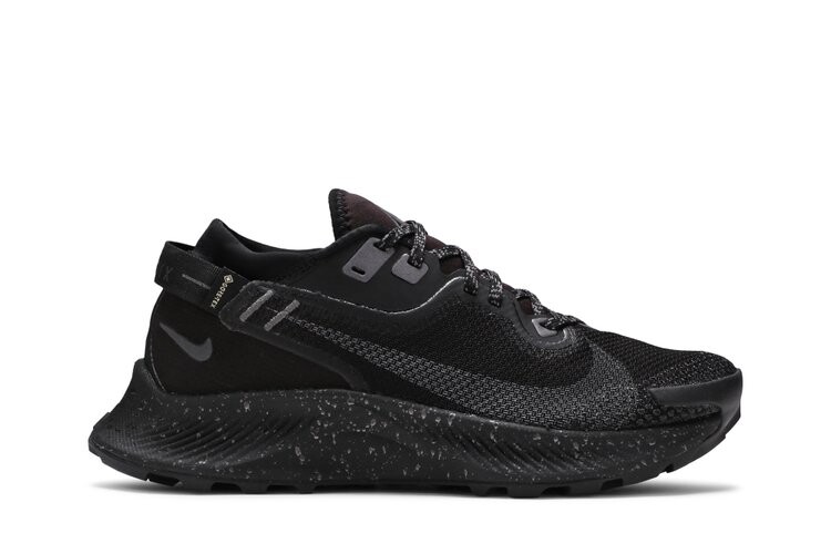Кроссовки Nike Wmns Pegasus Trail 2 Gore-Tex, черный