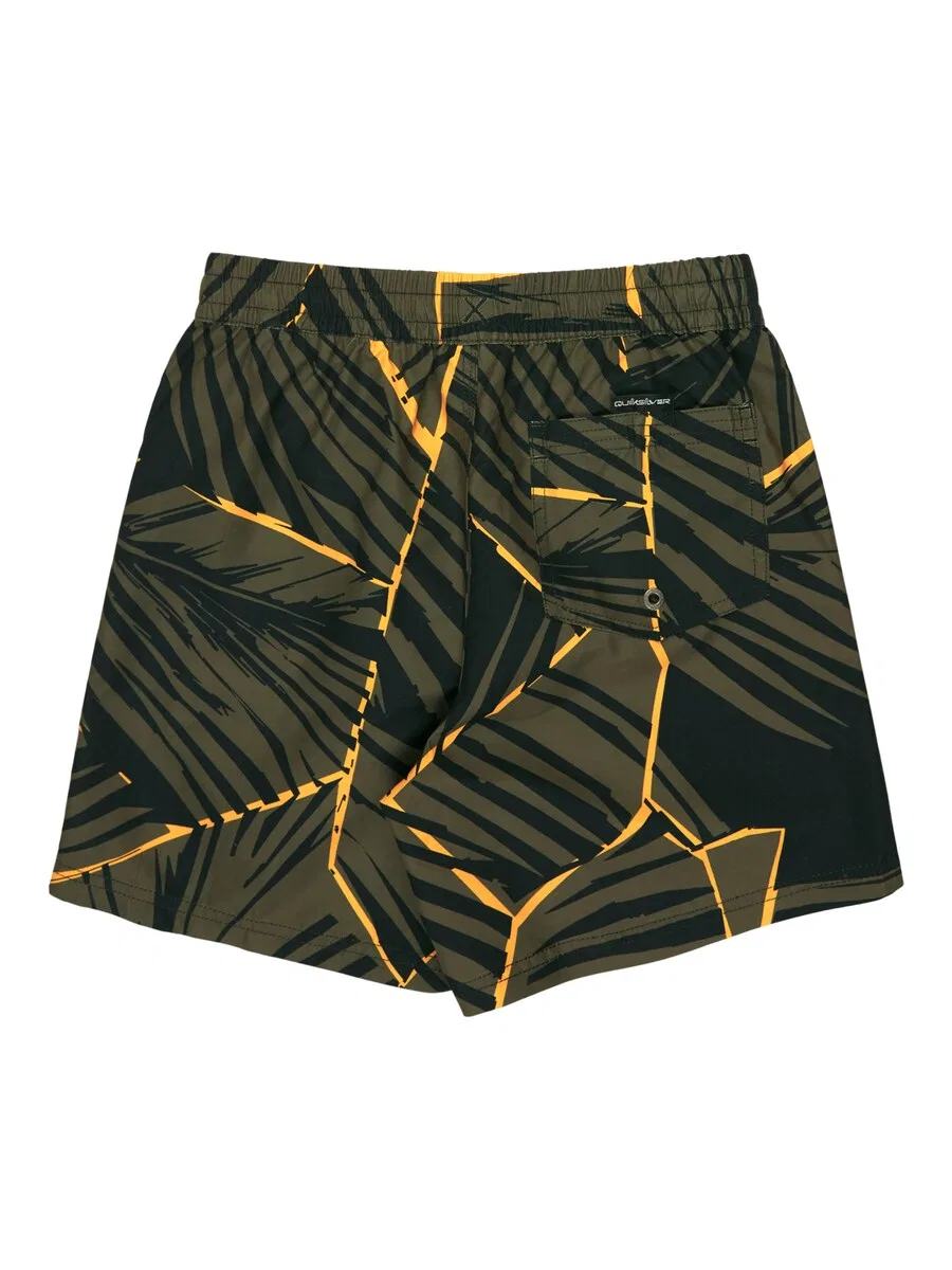 Шорты для плавания QUIKSILVER 'Everyday Printed Volley 14' темно-зеленого цвета — фото 2
