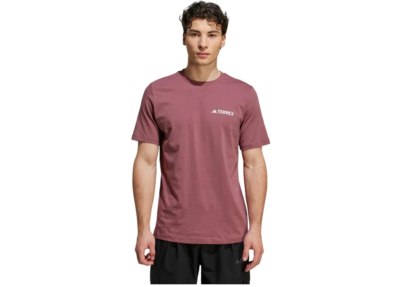 Мужская футболка с принтом Adidas Terrex Graphic T-Shirt Adidas, Burgundy