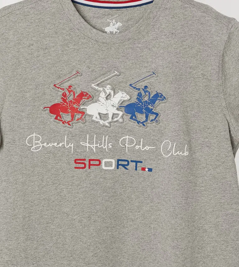 Футболка с принтом график, Beverly Hills Polo Club, серый меланж — фото 3