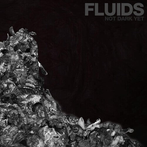 

CD диск Fluids: Not Dark Yet