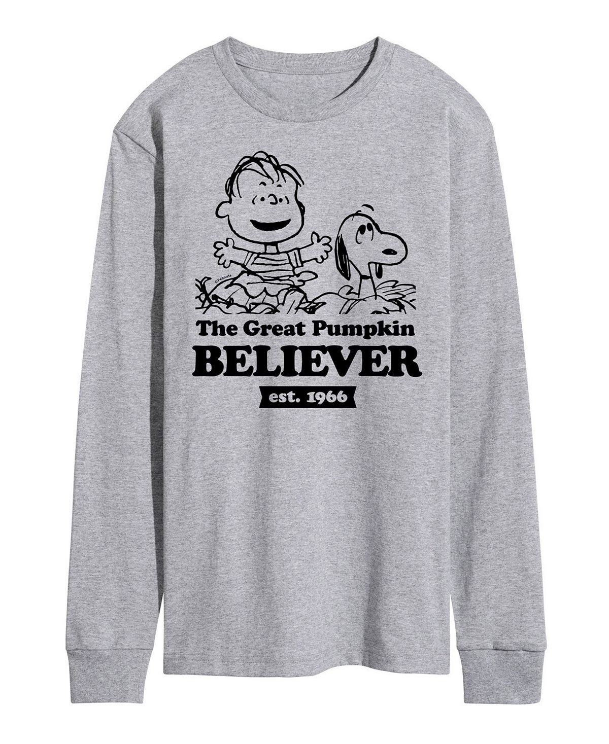 

Мужская футболка peanuts great pumpkin believer AIRWAVES, серый
