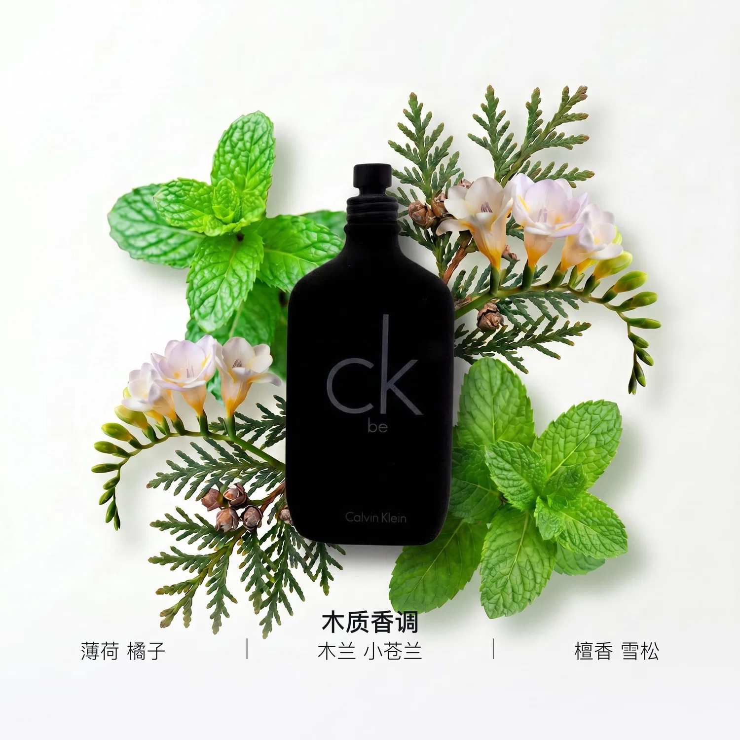 Парфюмерная вода Calvin Klein, 100 мл — фото 2