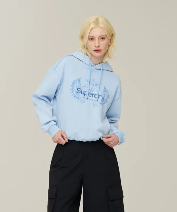 Худи с капюшоном, винтажное, утепленное, Superdry, голубой