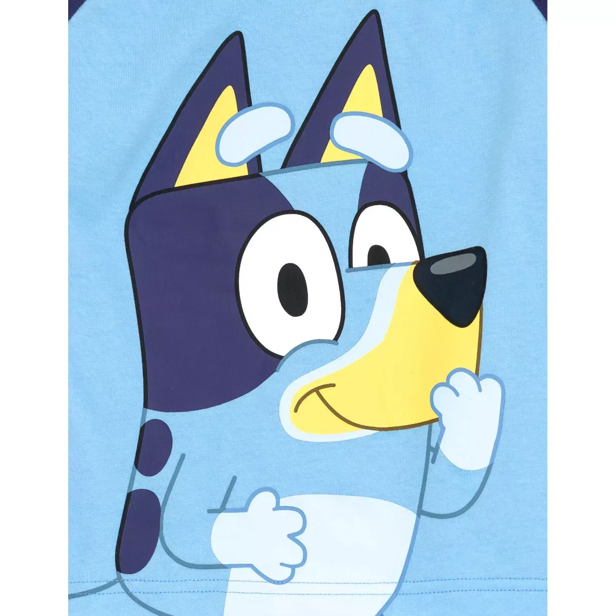Детский комплект футболка и джоггеры с принтом Bluey Bluey, Blue — фото 3
