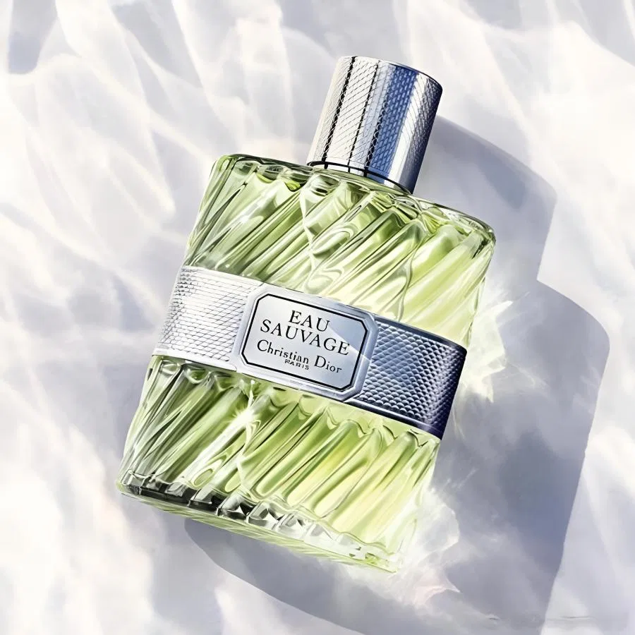 Мужская туалетная вода Dior Fresh Water Classic, 100 мл, DIOR — фото 4