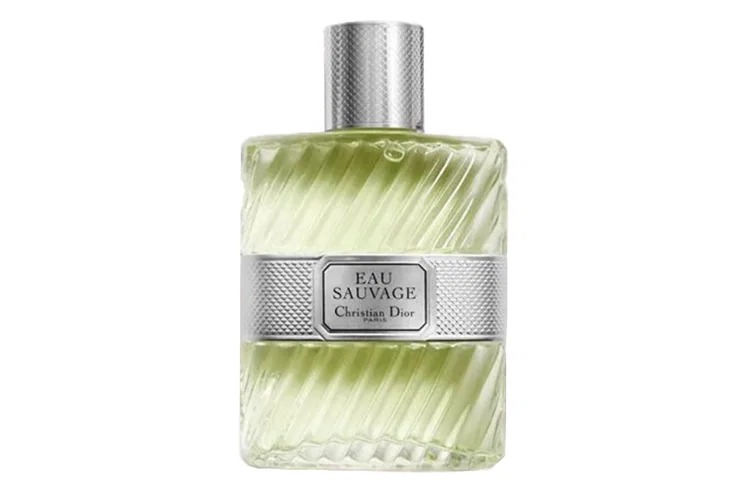Мужская туалетная вода Dior Fresh Water Classic, 100 мл, DIOR