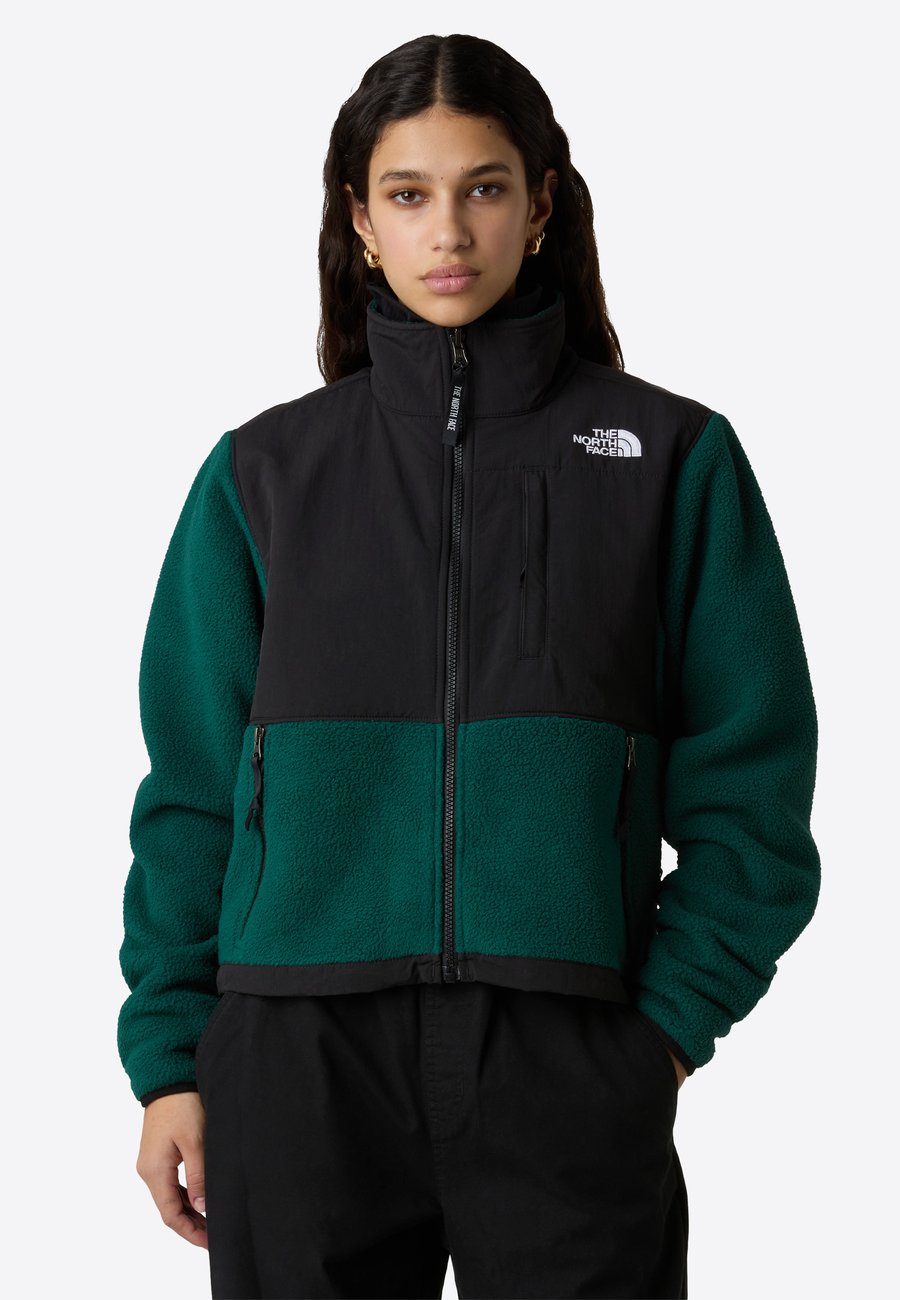 

Флисовая куртка The North Face W RETRO DENALI JACKET, Hunter Green Tnf Black/Dark Green
