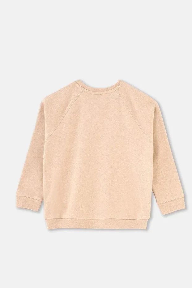 Детские свитшот для девочек хлопковый Sportswear Dagi, Coffee Melange — фото 2