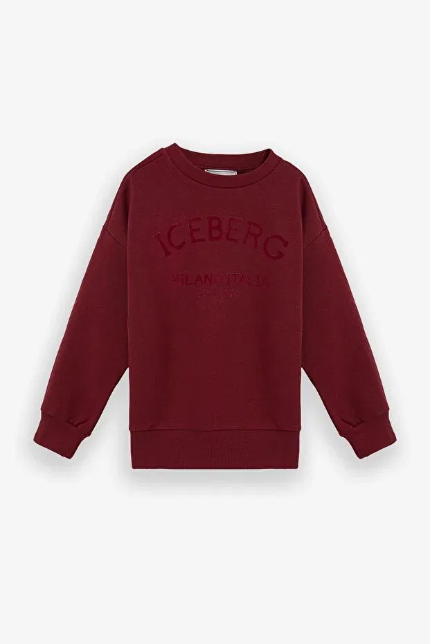 Детские свитшот для девочек с длинным рукавом Iceberg, Red
