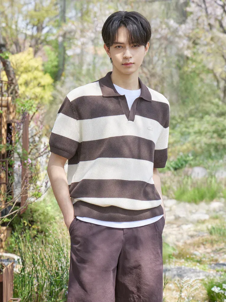 Свитер мужской с поло LACOSTE Bold Stripe, Black