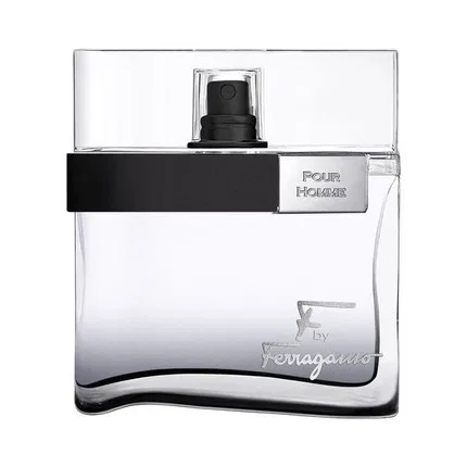 Туалетная вода Salvatore Ferragamo F Black Pour Homme, 100 мл
