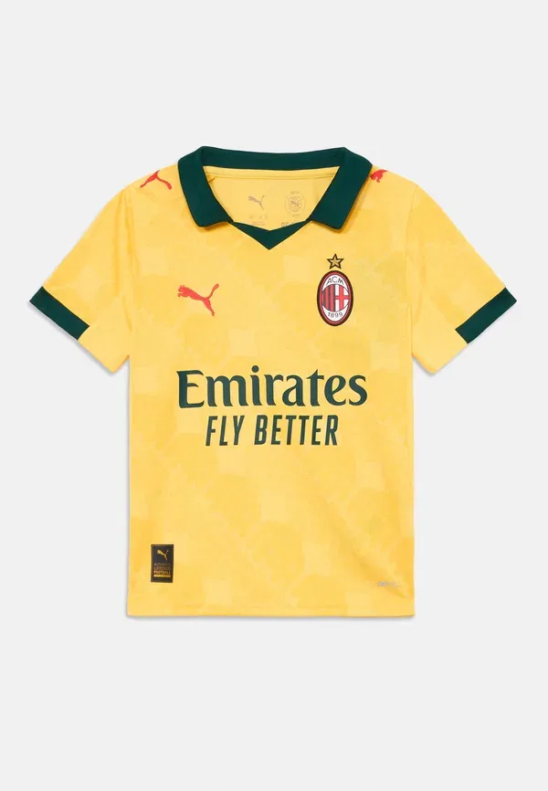 Футболка с принтом Acm 3rd replica, Puma, Sunny Yellow, Dark Myrtle