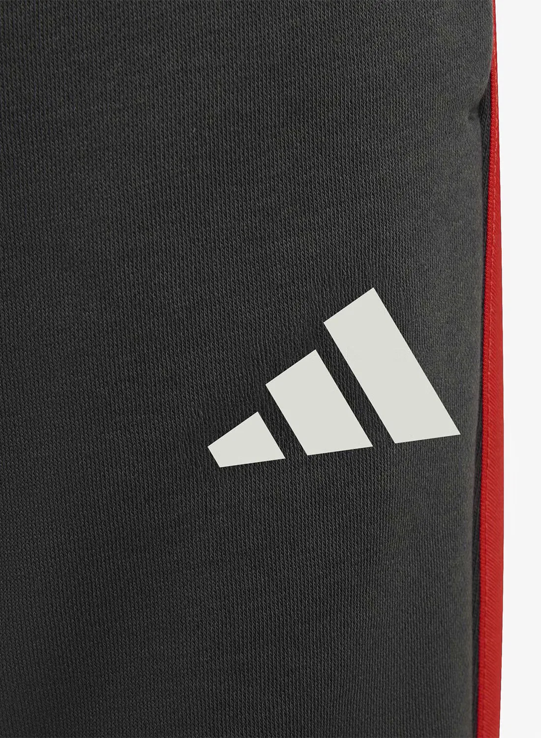 Штаны с логотипом Formula One Team DNA Adidas, черный — фото 3