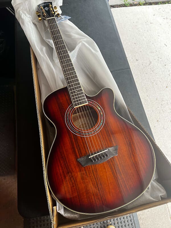 

Акустическая гитара Washburn Festival EA55G Acoustic/Electric Guitar - Koa Burst
