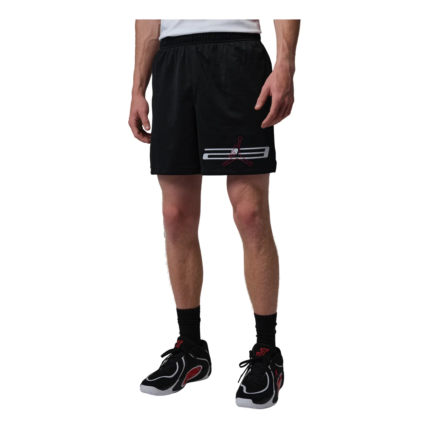 Мужские шорты с сетчатым принтом Jordan Dri-FIT Mesh Graphic Shorts, черный