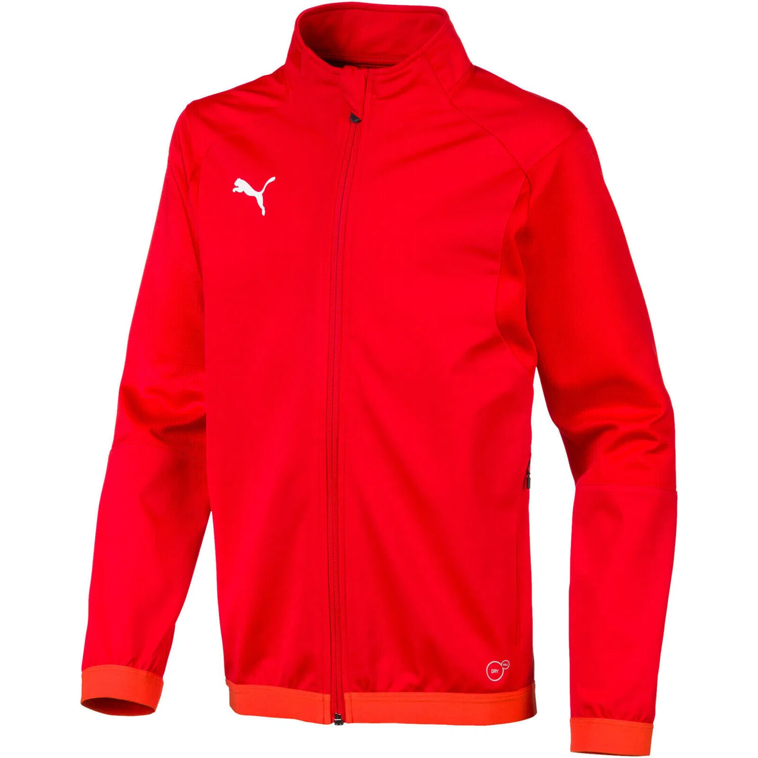 Детская куртка с длинным рукавом Puma Liga Training Jacket Jr, Rot