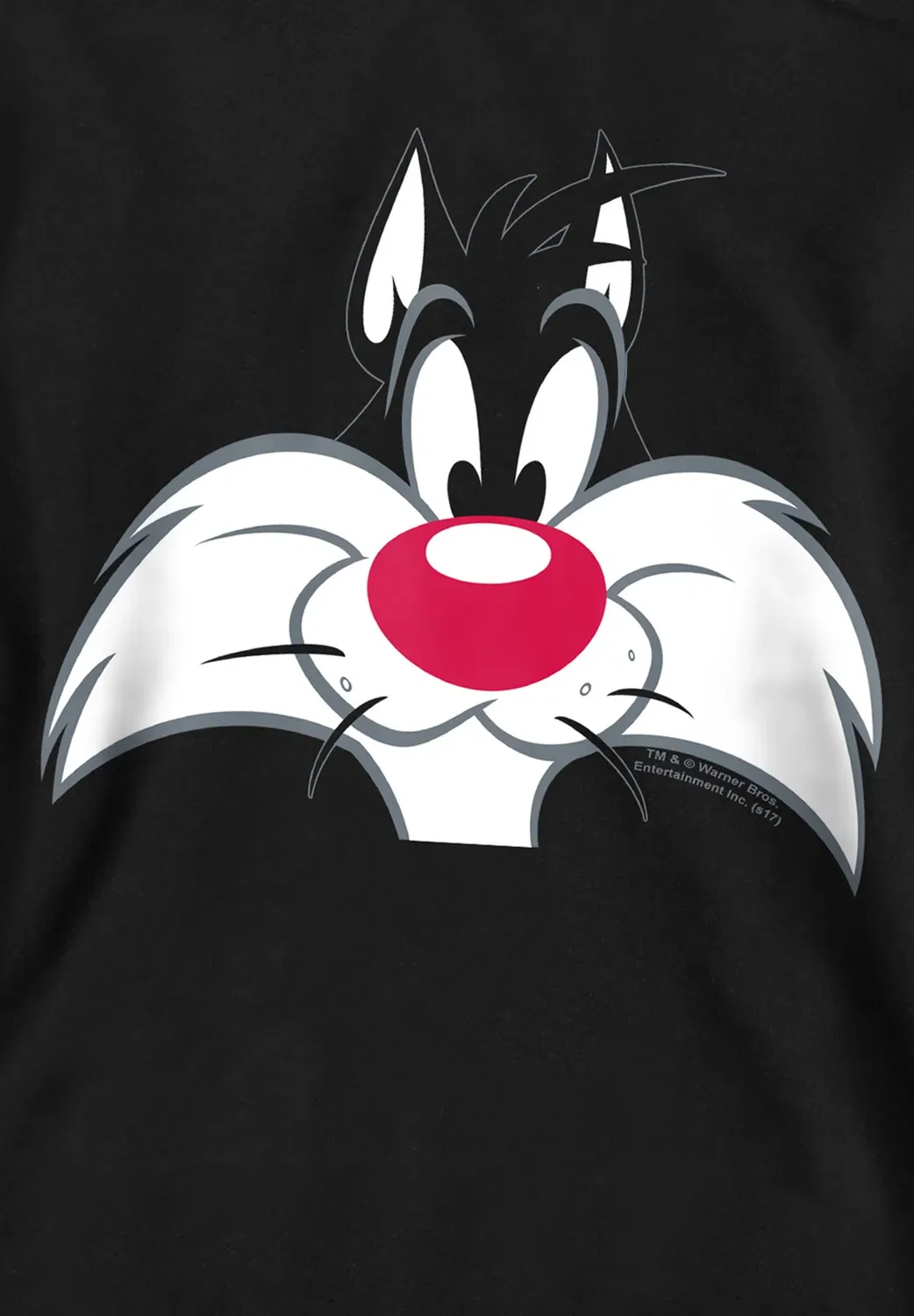 Худи унисекс с изображением лица Сильвестра Looney Tunes, Black — фото 3