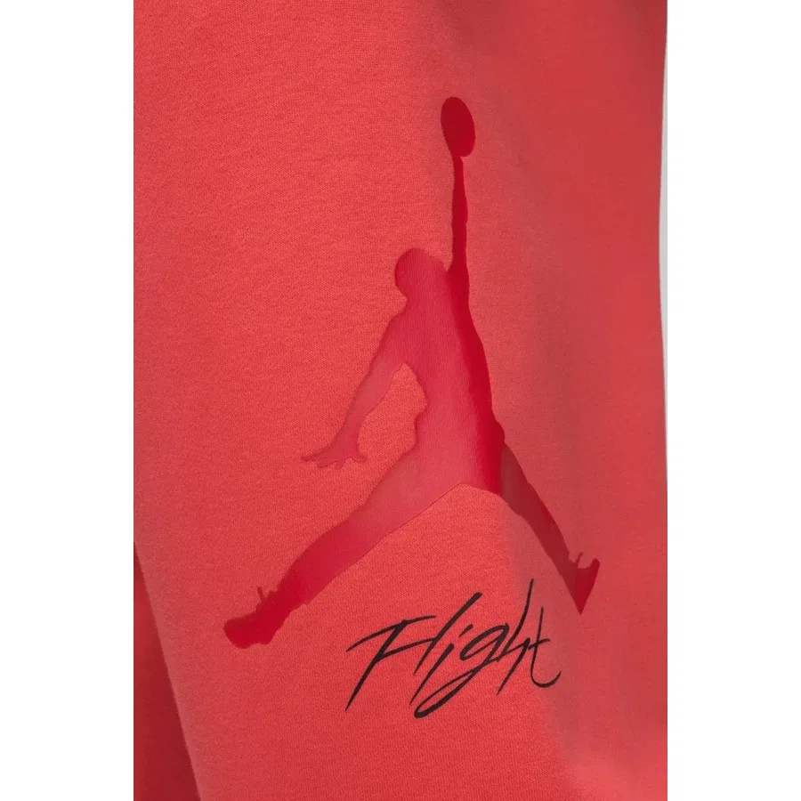 Спортивные штаны Nike Jordan Essentials Flc Baseline, Красный — фото 3