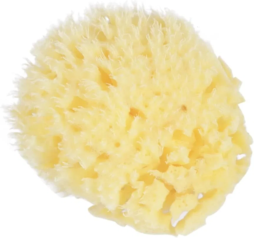 Мочалка для ванны Honeycomb Sponge, Gogogmee, 1 шт, 10x9x4.5 см, Beige