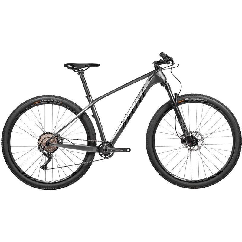 

Горный велосипед Active Fly Carbon 210 29 металлик серый