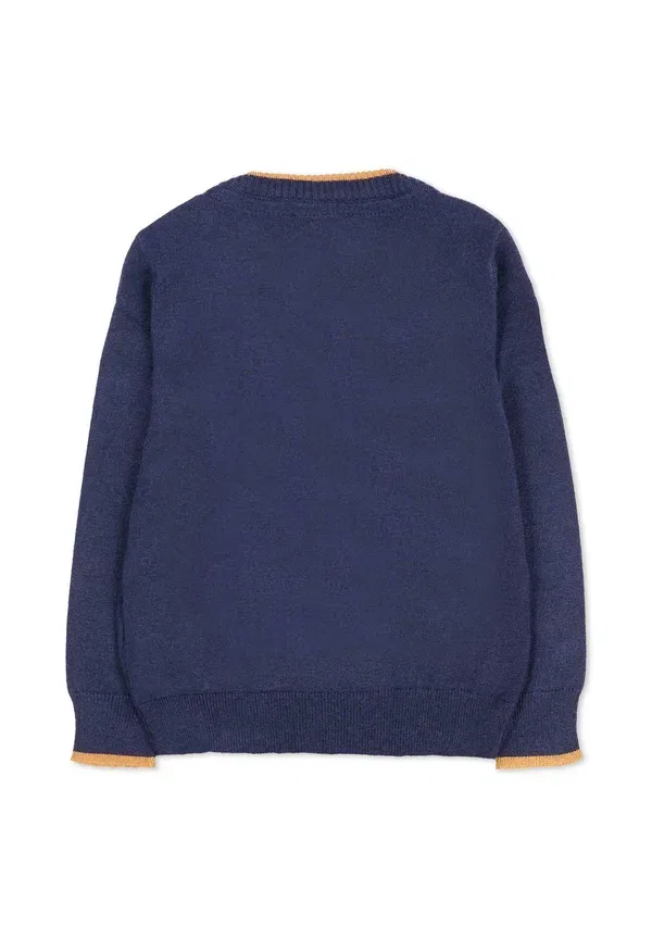 Джемпер с длинным рукавом Jumper Tru Trussardi Junior, синий — фото 2