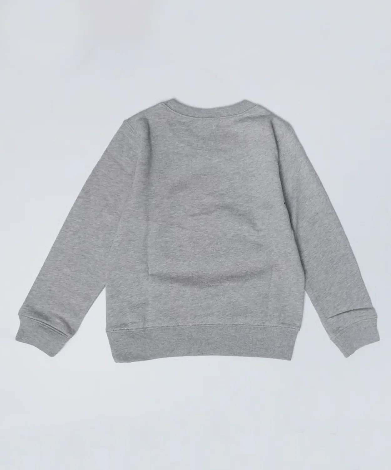 Детский свитшот с длинным рукавомс принтом Dinosaur WBSB, Ash Grey — фото 3