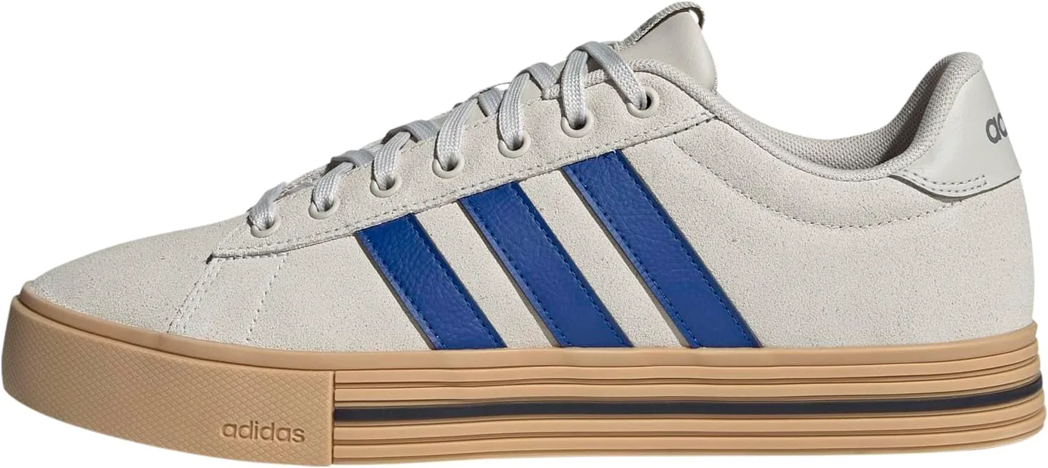 Мужская обувь Adidas Daily 4.0, серый/синий